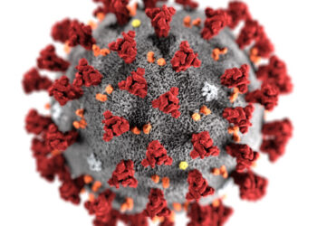 आगरा में कोरोना के 66 नये केस