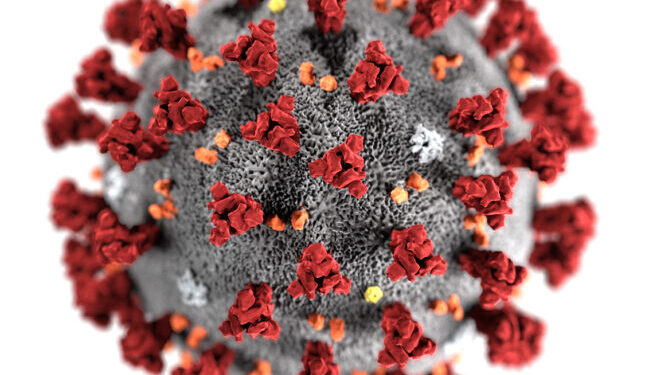 आगरा में कोरोना के 66 नये केस