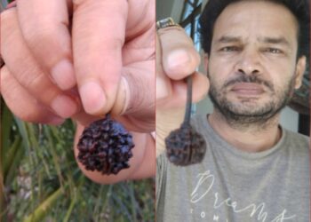 महाशिवरात्रि पर्व पर शिवकृपा से प्राप्त दुर्लभ नेपाली गोल एकमुखी रूद्राक्ष में साक्षात शिवजी को अदृश्य रूप में महसूस करें- एस्ट्रोलॉजर पं प्रमोद गौतम