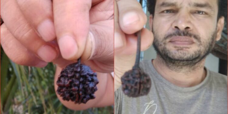 महाशिवरात्रि पर्व पर शिवकृपा से प्राप्त दुर्लभ नेपाली गोल एकमुखी रूद्राक्ष में साक्षात शिवजी को अदृश्य रूप में महसूस करें- एस्ट्रोलॉजर पं प्रमोद गौतम