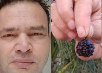 वैदिक सूत्रम चेयरमैन विश्वविख्यात ख्याति प्राप्त एस्ट्रोलॉजर पं प्रमोद गौतम के जन्म के महत्वपूर्ण रहस्यमयी तथ्य