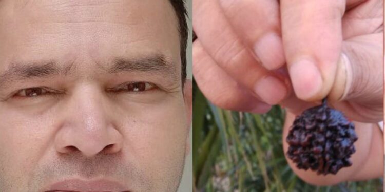 वैदिक सूत्रम चेयरमैन विश्वविख्यात ख्याति प्राप्त एस्ट्रोलॉजर पं प्रमोद गौतम के जन्म के महत्वपूर्ण रहस्यमयी तथ्य